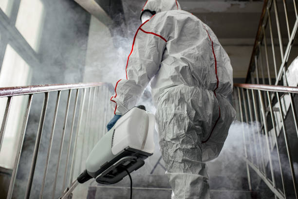 Asbestos and Lead Testing During Mold Inspection in West Lake Hills, TX